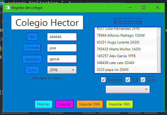 Pantalla para ingresar datos en la práctica 1.