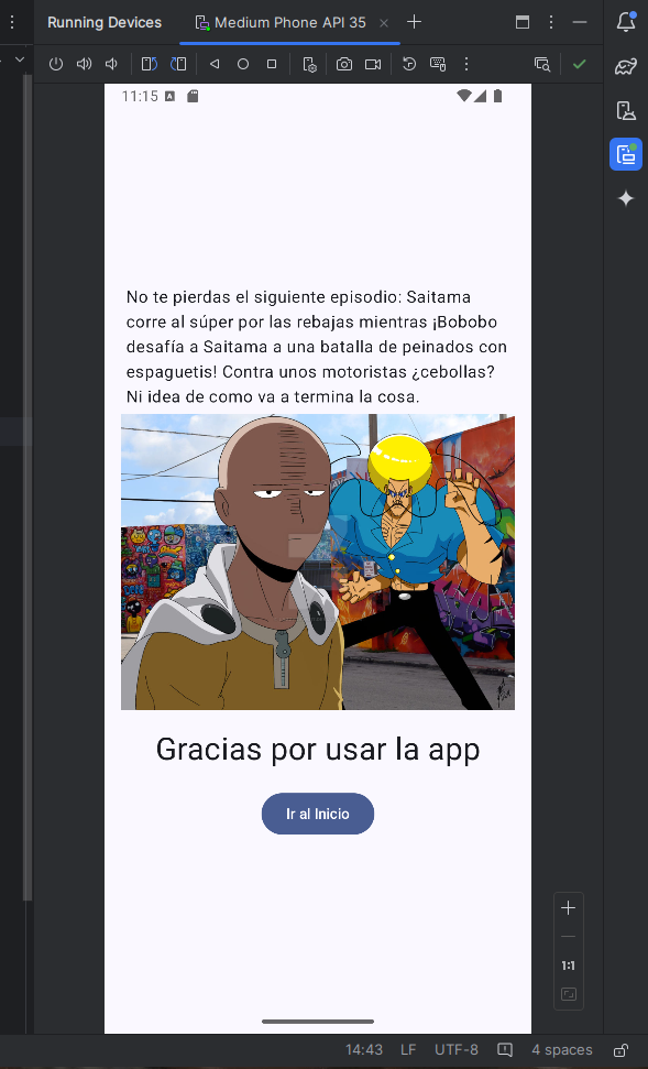 Pantalla final de la aplicación.